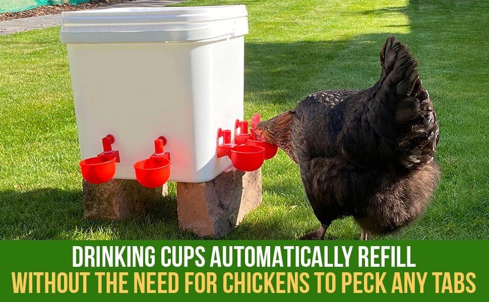 Automatic Chicken Water Feeder Kit - 4 Pack, Easy Fill Drinking Bowl For Poultry, Waterer Supplies:Pet Supplies