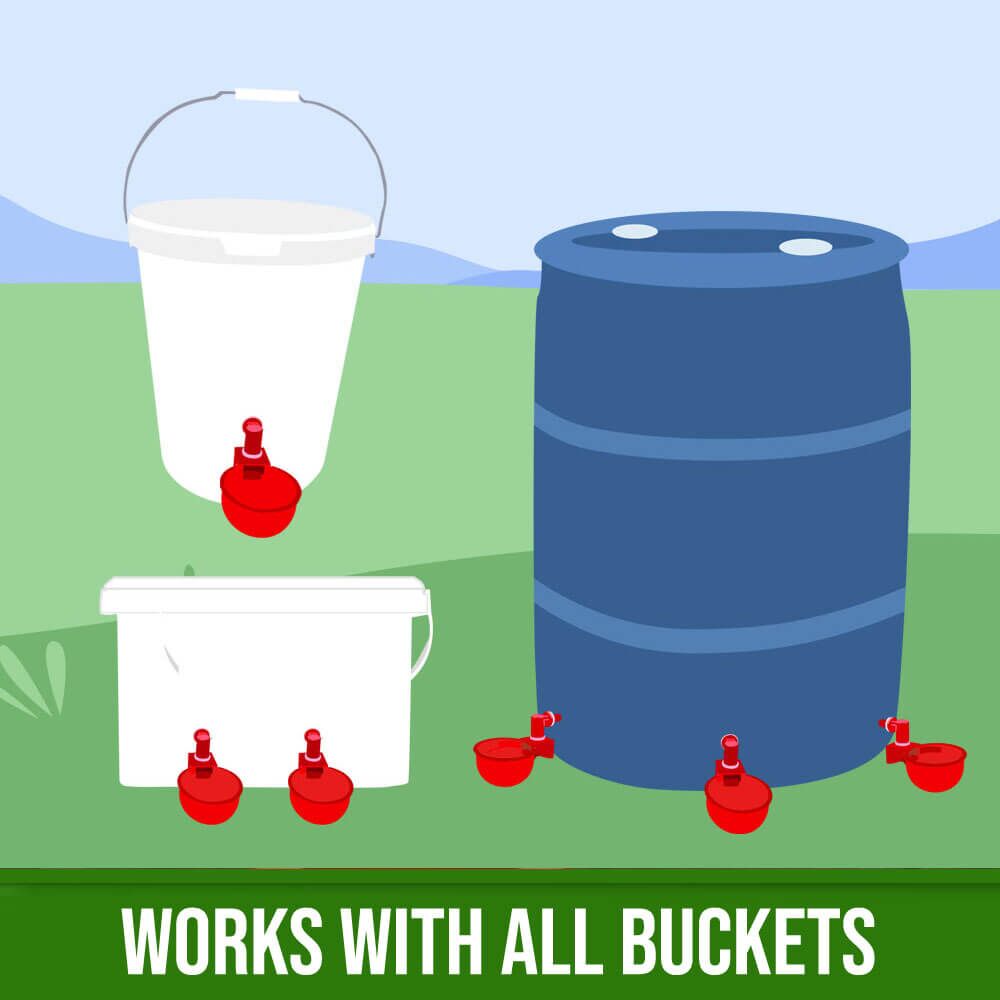 Automatic Chicken Water Cups 2 Little Hen Supplies