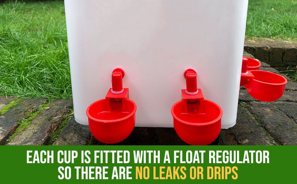 Photo Info Closeup Cup Drinker